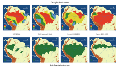 Effects of warming and drought on the Amazon